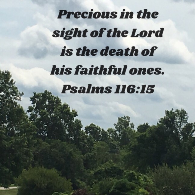 image_557509650880833